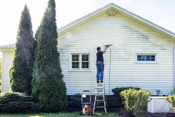 Why Choose Our Certified Pressure Washing Experts for Your Project Needs in Pine Grove, CA?